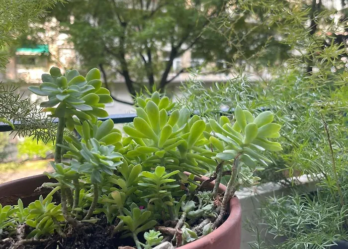 Ca' Crocetta Mailand